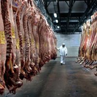 Ruralistas rechazan una suba de retenciones a la carne vacuna y alertan sobre posibles protestas