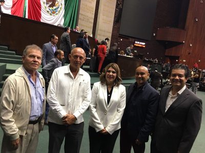 Diputada panista por Tamaulipas brinca a Morena