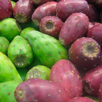 La fruta que crece gratis en todas las calles y que es muy parecida al kiwi: mirá cómo cultivarla