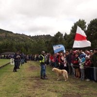 River y un gesto hacia los hinchas que quedará en la historia