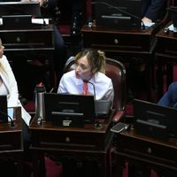Fernández Sagasti se diferenció del resto del kirchnerismo en una votación del Senado