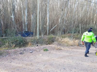 Centenario: Un auto se incrustó en una alameda tras perder el control