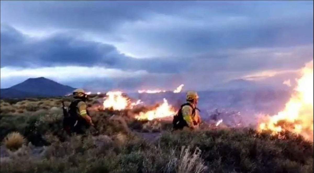 Bomberos y brigadistas trabajaron para sofocar el incendio. Fuente: (Diario RN)