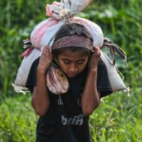 El 10% de los niños de 5 a 17 años trabaja para aliviar la pobreza: Redim