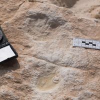 Histórico hallazgo: huellas demuestran cómo los humanos abandonaron África hace 120.000 años