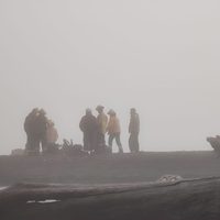 Brigadistas y bomberos de Junín de los Andes combaten un incendio en el Lago Tromen