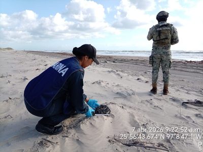 Han recolectado más de seis toneladas de hidrocarburos por derrame en playas tamaulipecas