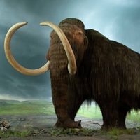 Una empresa recaudó 15 millones de dólares para que los mamuts vuelvan a caminar sobre la Tierra