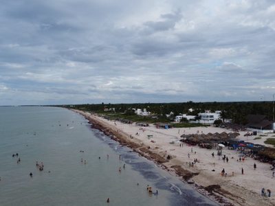 Sargazo alcanzará niveles sin precedentes en playas mexicanas este año: advierte la UNAM