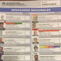 Elecciones 2023: especialistas pidieron la instalación de una boleta única de papel
