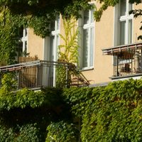 Decoración inteligente para balcones chicos: cómo darles estilo sin gastar de más y aprovecharlos ahora que llega el calorcito