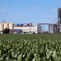 Promulgaron la nueva ley de biocombustibles
