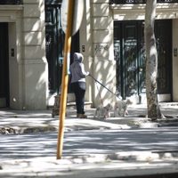 ¡Atención Neuquén! ¿Habrá salidas de esparcimiento?