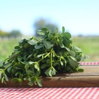 No arranques estas plantas de tu jardín, son alimentos gratis que podés llevar a tu mesa