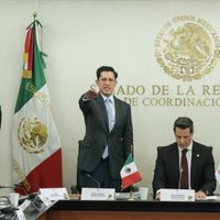 CED se extralimitó al catalogar casos de desaparición forzada como crímenes de lesa humanidad: SRE