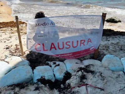 Clausuran obra ilegal en Playa del Carmen promocionada por el exbasquetbolista Eduardo Nájera