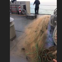 Profepa retira redes prohibidas en zona de protección de la vaquita marina