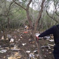Cae otra avioneta en Tamaulipas; hay dos muertos