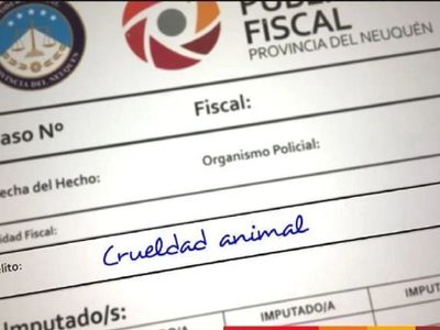 Allanaron la vivienda del hombre que circulaba con su perro atado al paragolpes del auto