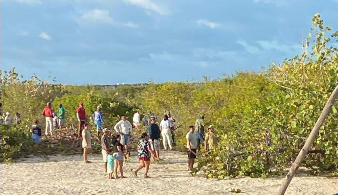 Afectaciones al manglar