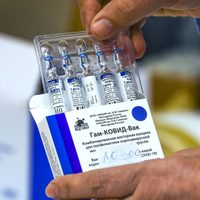 Neuquén sumó más de 20.000 vacunas contra el coronavirus para su campaña de inmunización