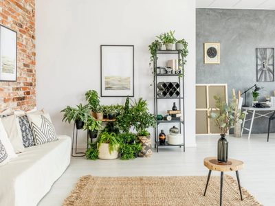 Verdes, resistentes y poderosas: las plantas que ahuyentan las malas energías sin pedir nada a cambio