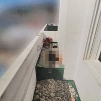 Hombre confiesa matar a su novia y esconderla bajo una capa de cemento en su departamento