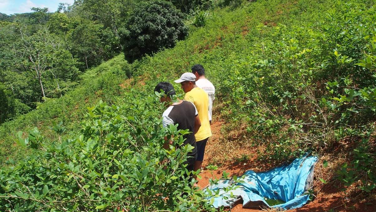 “Casi 90% de la hoja de coca se va al narcotráfico; eso ha permitido que tengamos 800 toneladas anuales de producción potencial de cocaína”, dijo el presidente del Consejo de Ministros peruano Alberto Otárola