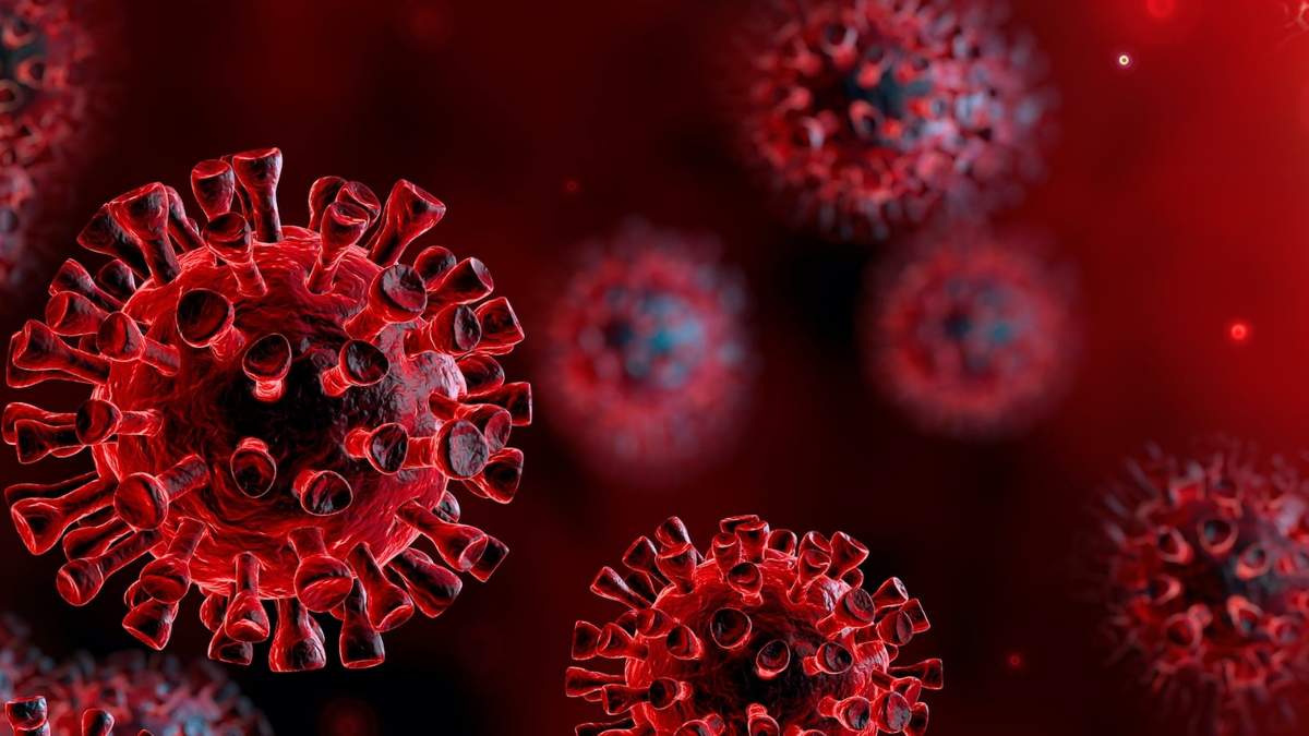 Estructura del genoma de coronavirus. Fuente: (Instagram)