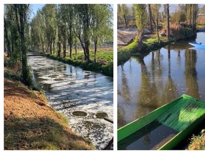Se viraliza video de los canales de Tláhuac y Xochimilco "burbujeando" durante el sismo