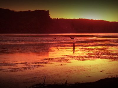 Cayeron al río Negro: las imágenes de un milagroso rescate en Cipolletti