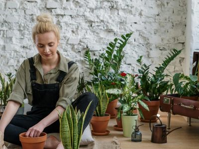 No gastes en productos caros: el ingrediente de cocina que mantiene tus plantas hermosas, fuertes y libres de plagas