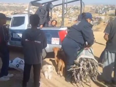 Policías de Oaxaca detienen a dos mujeres por recoger leña en un cerro (Video)