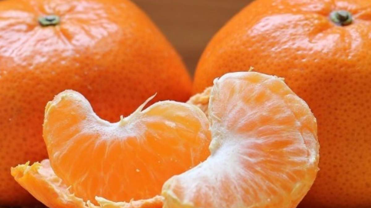 Semillas de mandarina. Fuente: (Instagram)