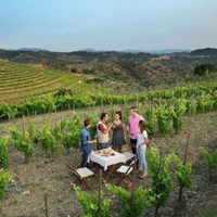 El Enoturismo retoma su actividad para los visitantes en España