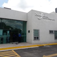 Comparece acusado por la matanza en Irapuato; ya había sido detenido junto con la mamá de "El Marro"