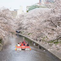 Japón pagará parte de los pasajes a turistas locales para fomentar el turismo