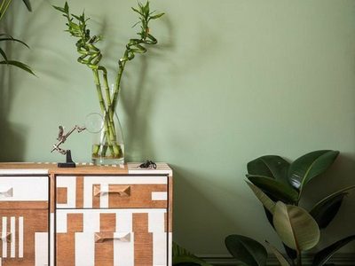 Decoración en verde pistacho: sumá el color de moda al living para ganar frescura y elegancia