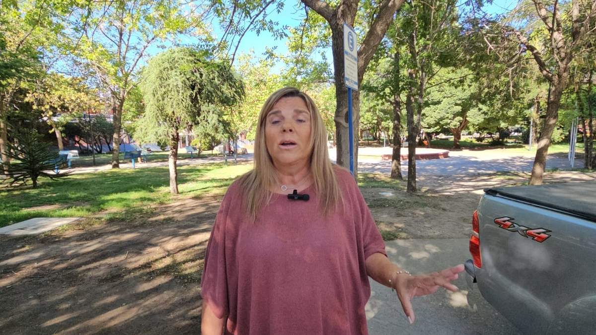 Silvana Genero, contadora y socia autoconvocada de CALF. Fuente: (Javier Manzano)