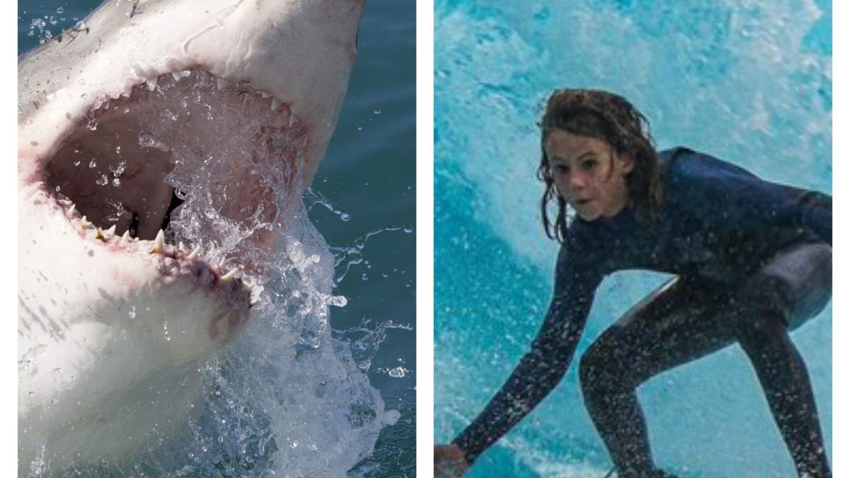 El surfista australiano Khai Cowley fue atacado por un tiburón blanco