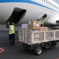 Unicef ya prepara la colosal operación de logística para distribuir la vacuna