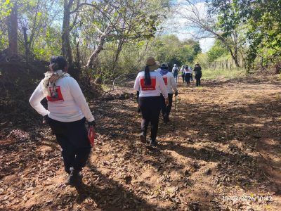 Desde 2010 han asesinado a 35 madres buscadoras, 25 de ellas en gobiernos de la 4T