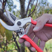 En pocos pasos, el trucazo para sacarle filo a tus tijeras de jardinero y dejarlas como nuevas