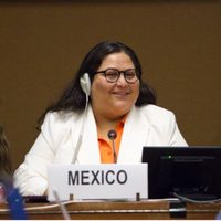 México recurre a evasiones y triunfalismo mientras persiste la violencia contra la mujer: ONG