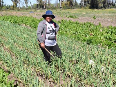 El Gobierno de Neuquén lanzó la cuarta edición de Mujeres Rurales: cómo se puede participar