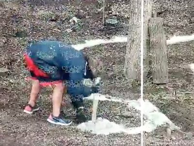 Sujeto agrede el nuevo ahuehuete de Paseo de la Reforma; fue detenido (Video)