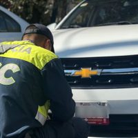 Operativos contra portaplacas: Así puedes recuperar láminas