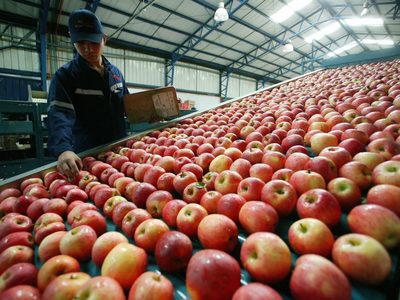 Por la megasequía en Chile, los productores de fruta piden medidas urgentes al Gobierno