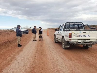 Tres ejemplares de fauna silvestre fueron secuestrados en autos que se trasladaban por los caminos de Vaca Muerta