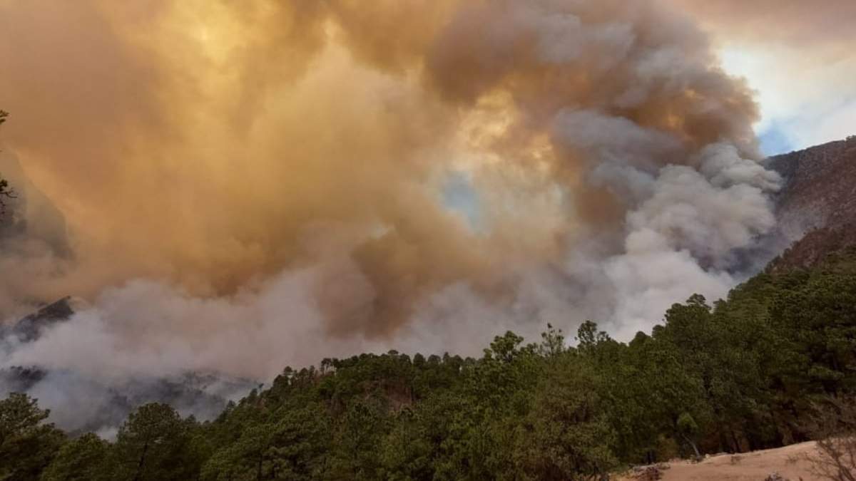 Uno de los incendios en Nuevo León